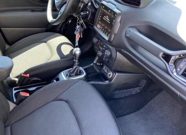 Jeep RENEGADE voll