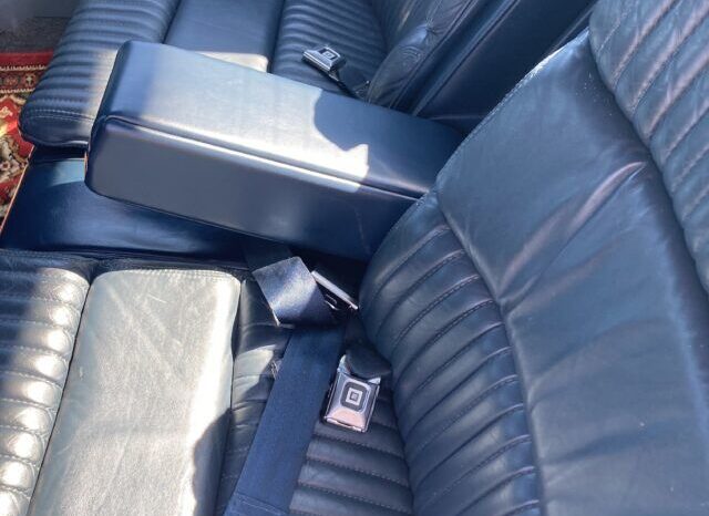 Buick Park Avenue voll