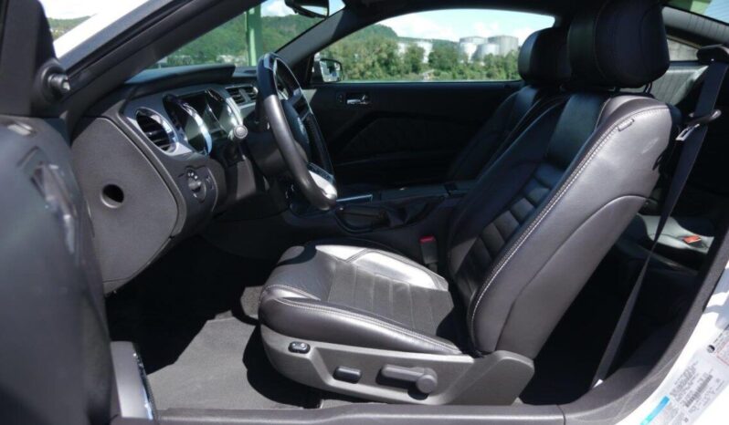 Ford Mustang GT 5.0l V8 voll