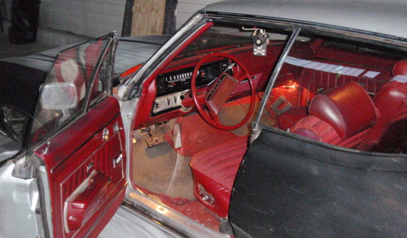 Buick Skylark Custom voll