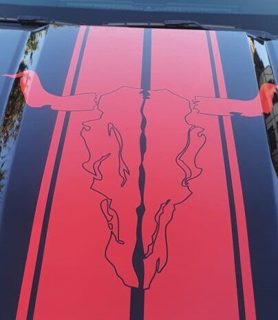 Ford Mustang GT 5.0 V8 voll