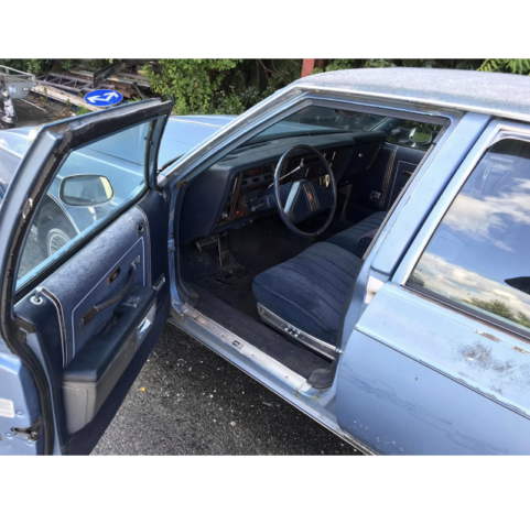 Oldsmobile Delta 88 voll