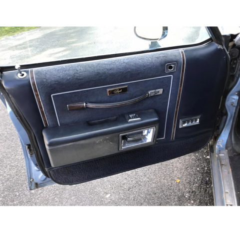 Oldsmobile Delta 88 voll