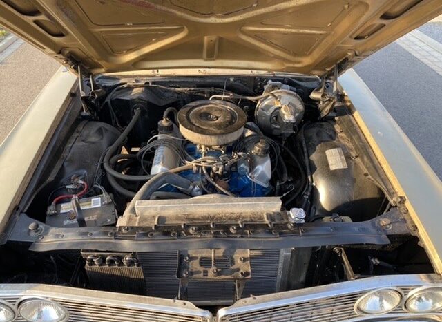 Ford Galaxie 500 voll