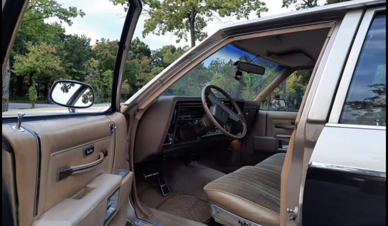 Oldsmobile Custom Cruiser voll