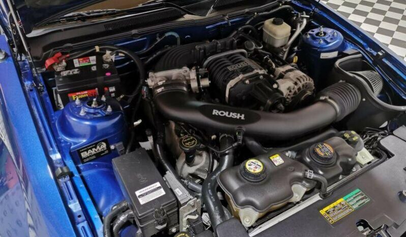 Ford Mustang Cabriolet V8 Roush Paket mit Kompressor voll