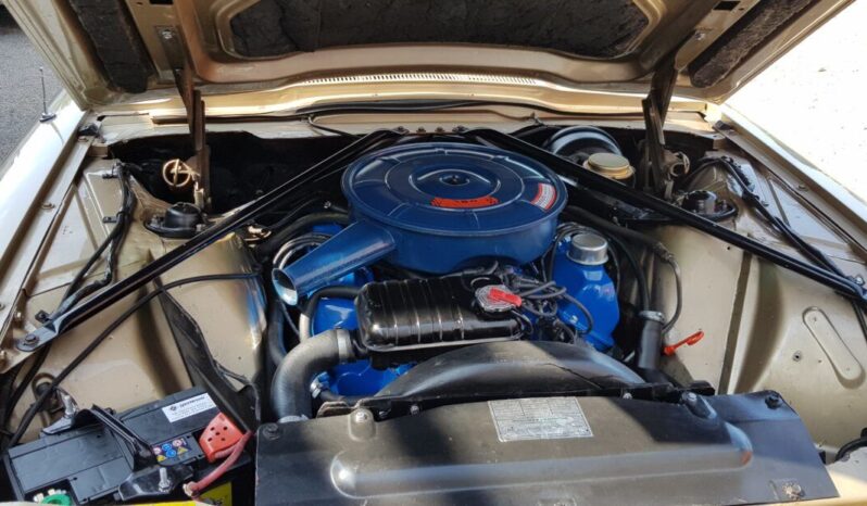 Ford Thunderbird voll