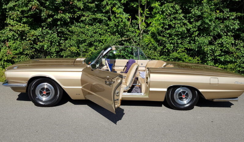 Ford Thunderbird voll