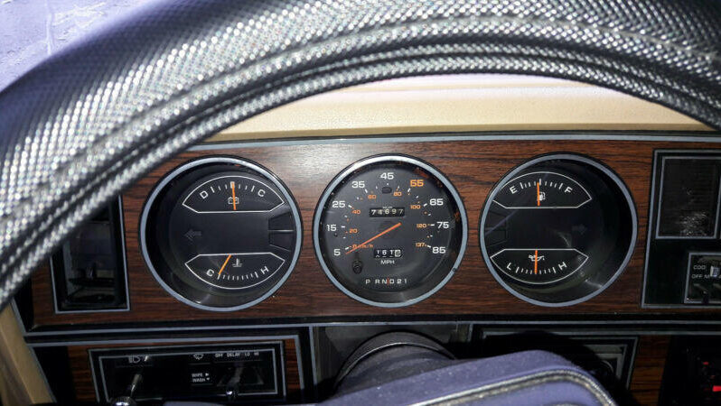 Dodge Ramcharger voll