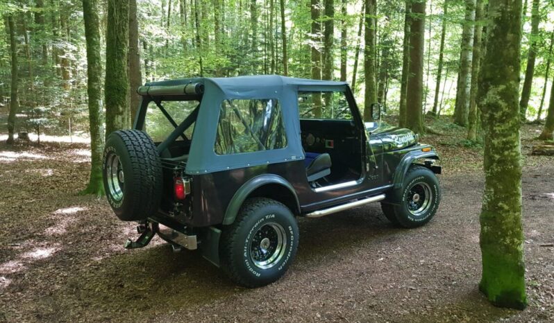 Jeep Cj7 voll