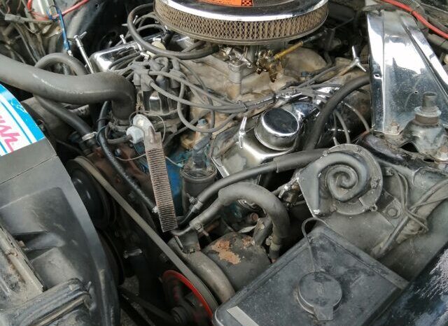 Ford Mustang Mach 1 voll