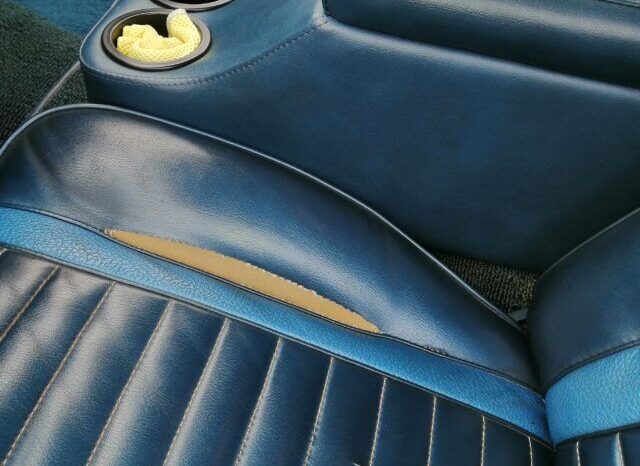 Ford Mustang Mach 1 voll