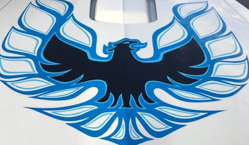 Pontiac Firebird TransAm voll