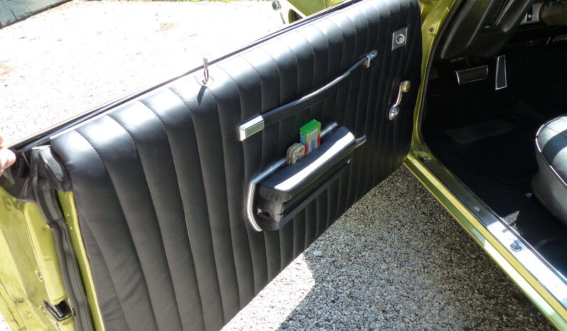 Pontiac Le Mans Luxury voll