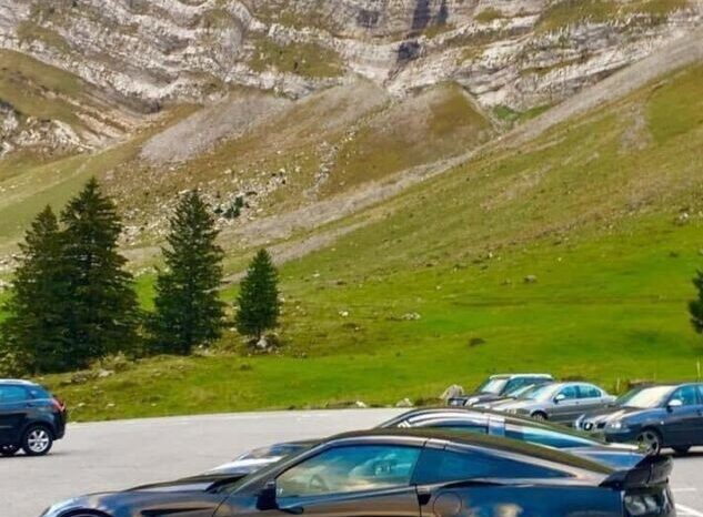 Chevrolet C7 ZO6/Z07 voll