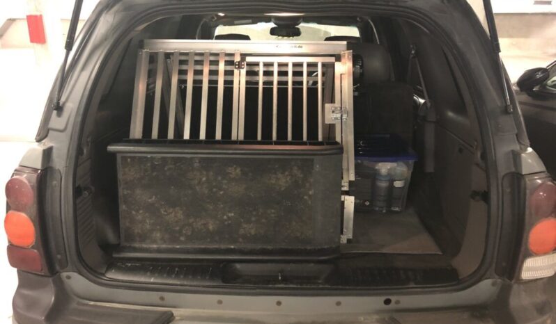 Chevrolet Trailblazer voll