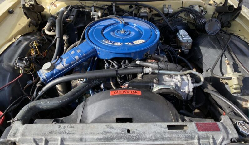 Ford LTD Country Squire voll