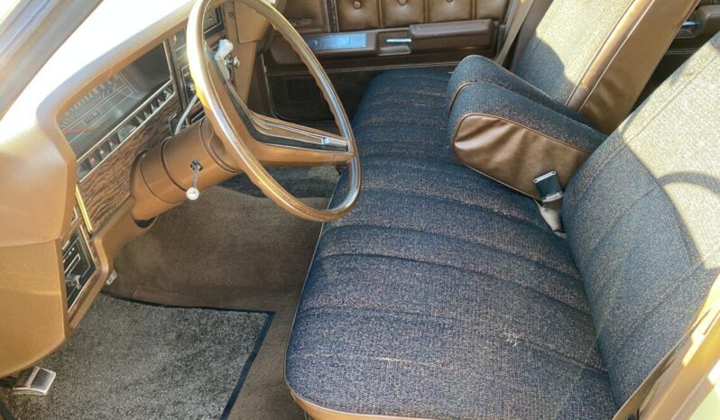 Ford LTD Country Squire voll