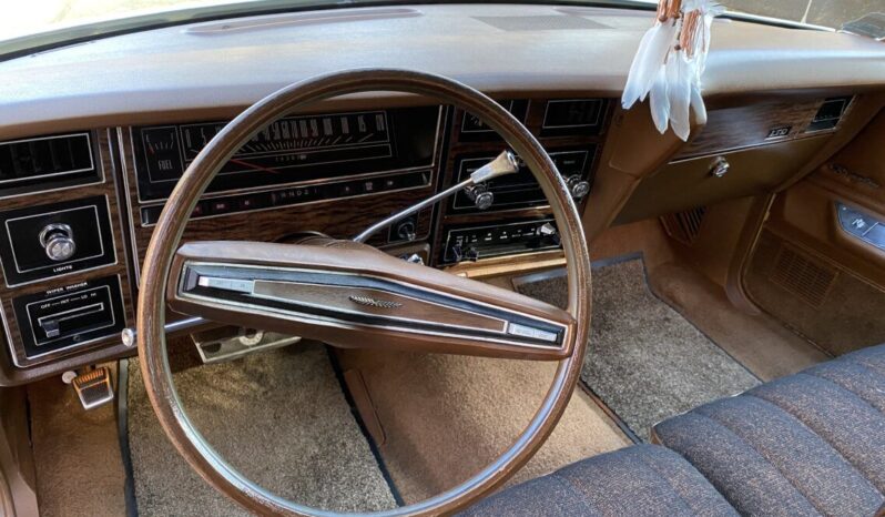 Ford LTD Country Squire voll