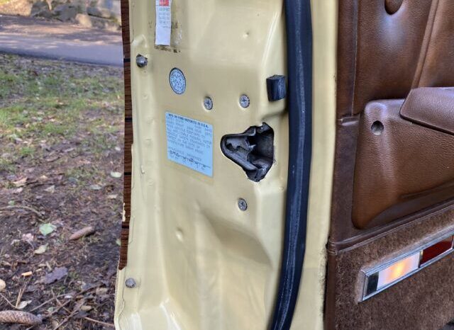 Ford LTD Country Squire voll