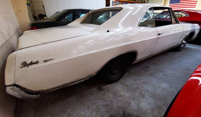 Buick Skylark voll