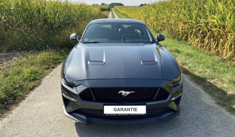 Ford Mustang 5.0 Fastback voll