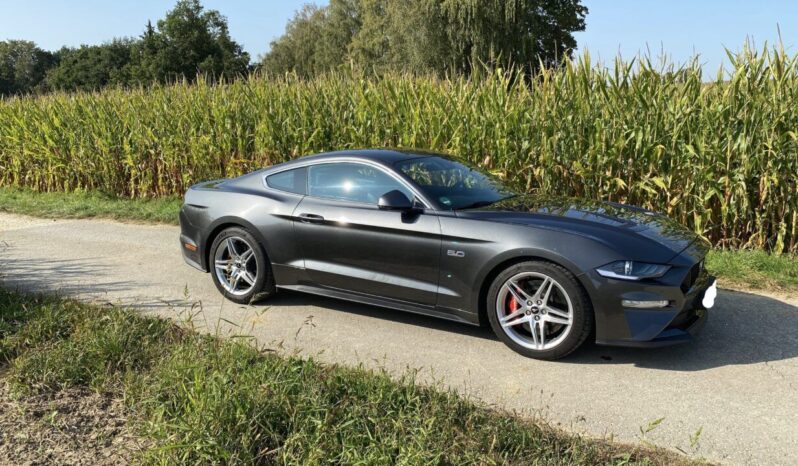 Ford Mustang 5.0 Fastback voll