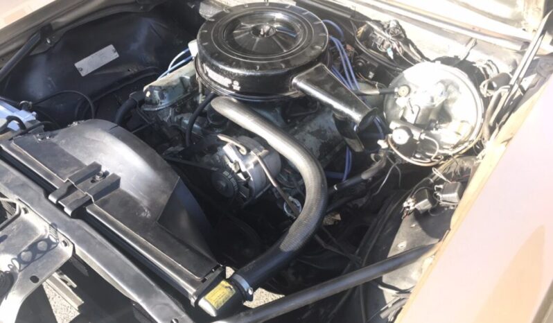 Pontiac Firebird voll