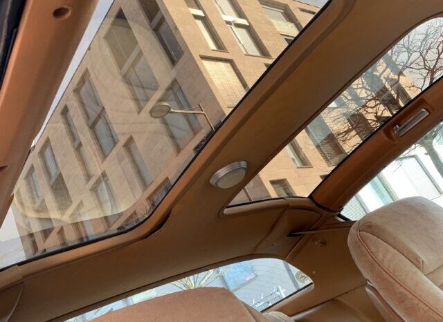 Pontiac Firebird TransAm Targa voll