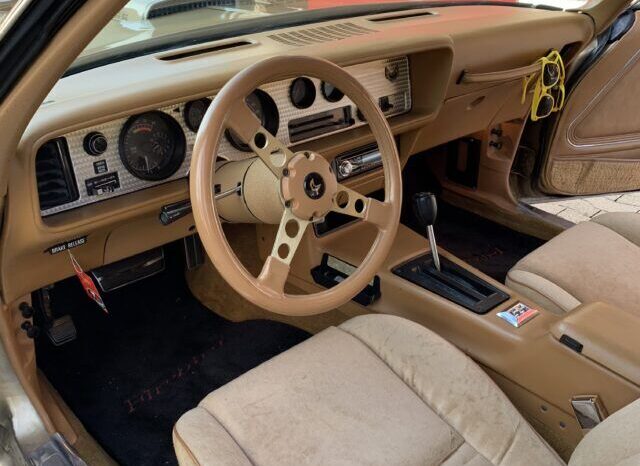 Pontiac Firebird TransAm Targa voll