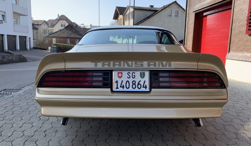 Pontiac Firebird TransAm Targa voll