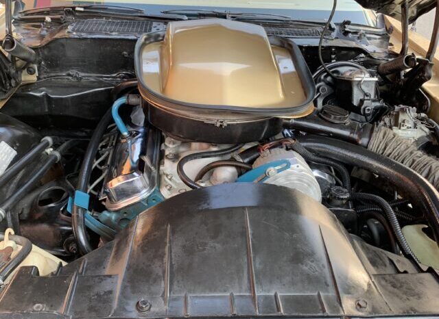 Pontiac Firebird TransAm Targa voll