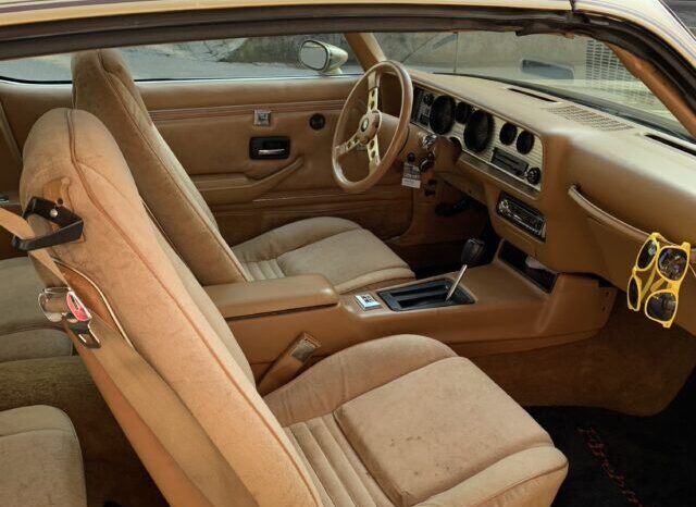 Pontiac Firebird TransAm Targa voll