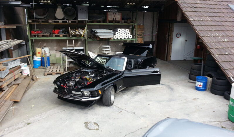 Ford Mustang voll