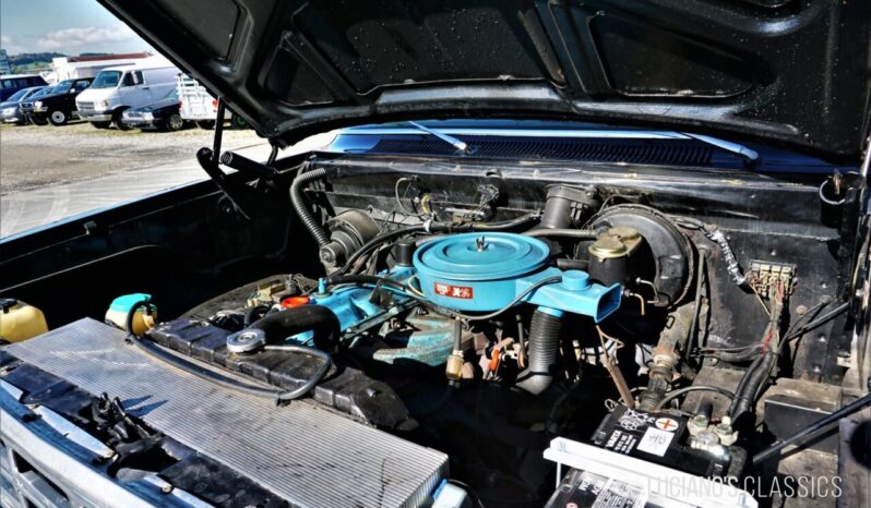 Dodge Ramcharger voll