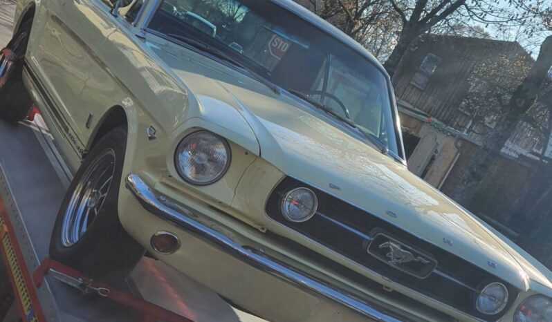 Ford Mustang voll