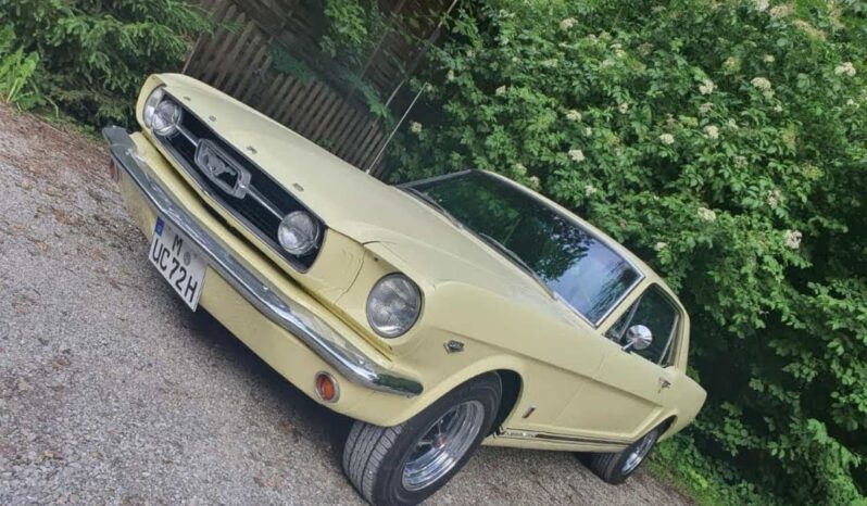 Ford Mustang voll