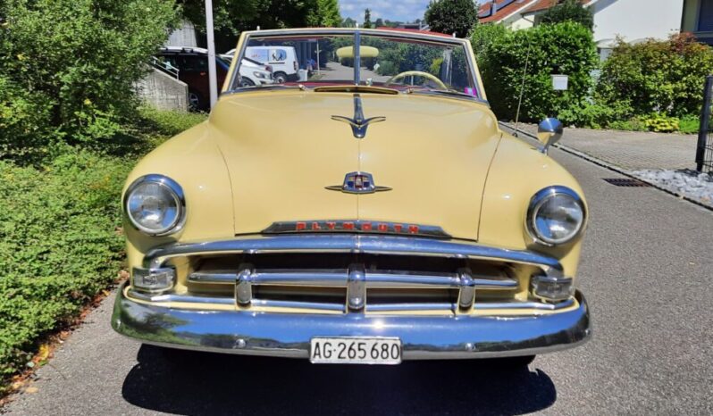 Plymouth Cranbrook voll