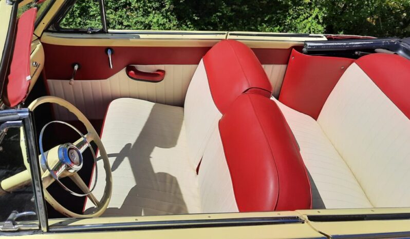 Plymouth Cranbrook voll