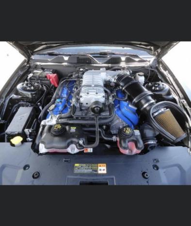 Shelby Mustang GT 500 voll