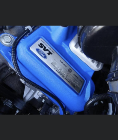 Shelby Mustang GT 500 voll