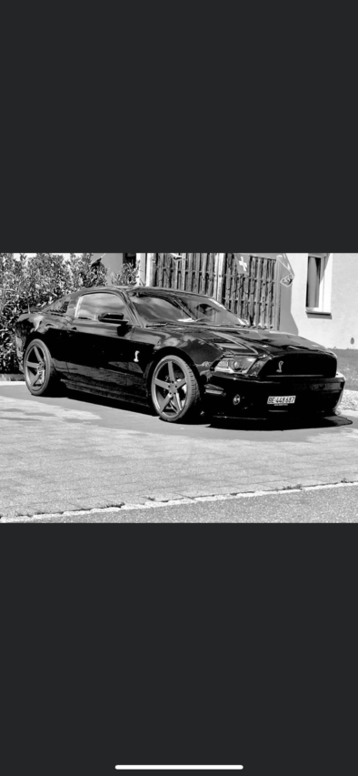 Shelby Mustang GT 500