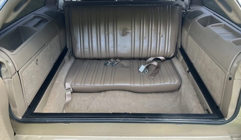 Chevrolet Caprice voll