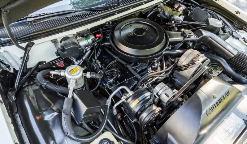 Cadillac Fleetwood voll