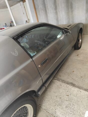 Pontiac Firebird voll