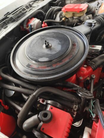 Pontiac Firebird voll