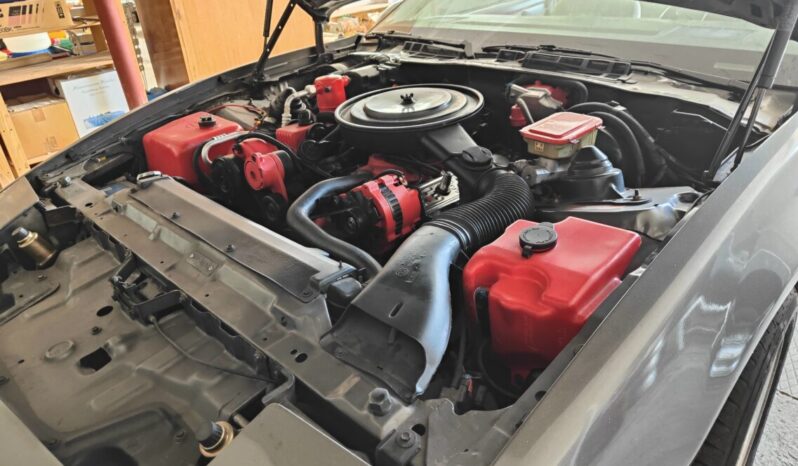 Pontiac Firebird voll