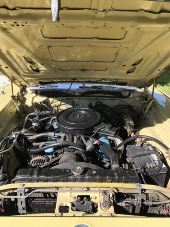 Plymouth Satellite Sebring voll